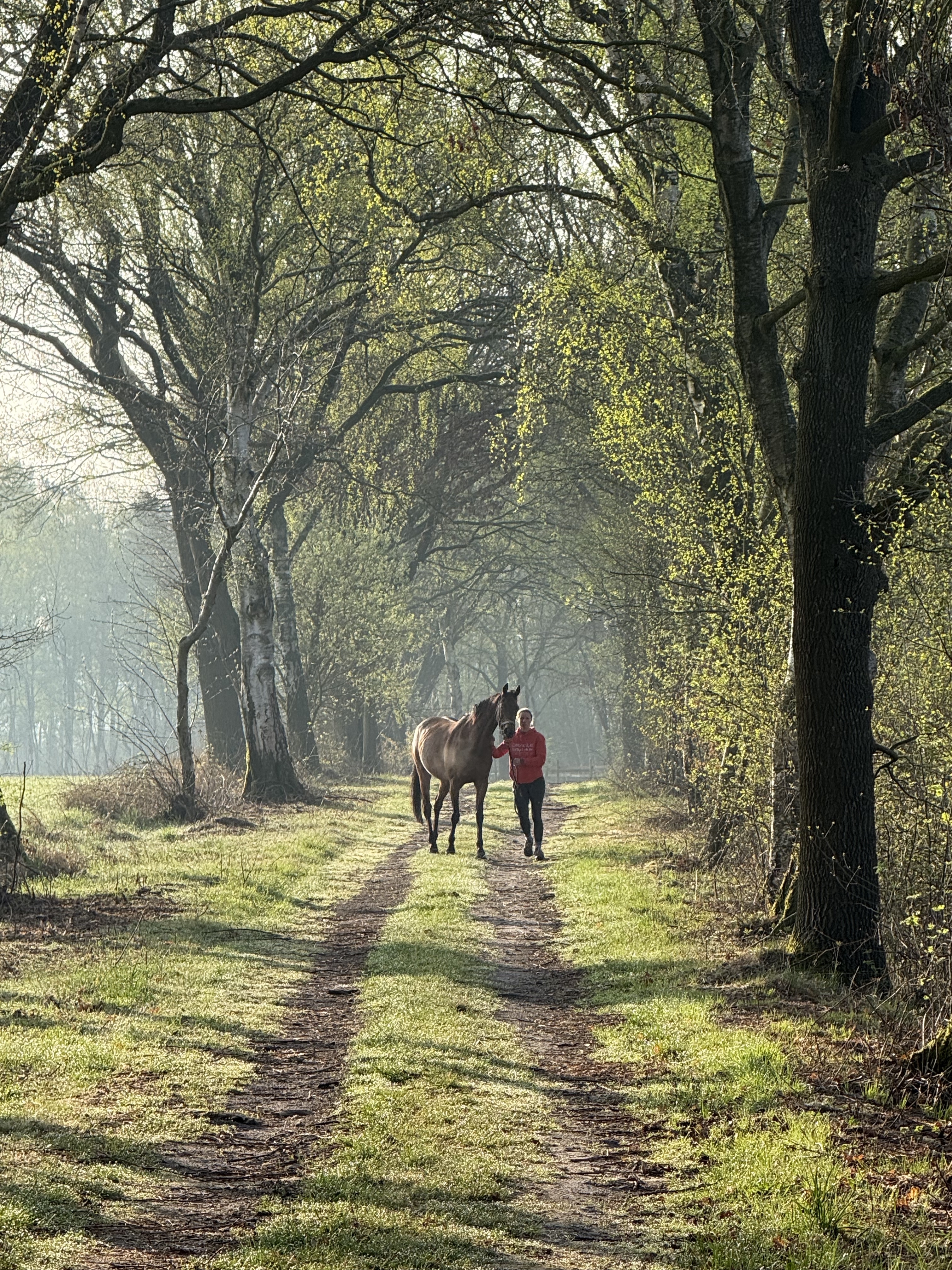 Rehabilitation im Wald