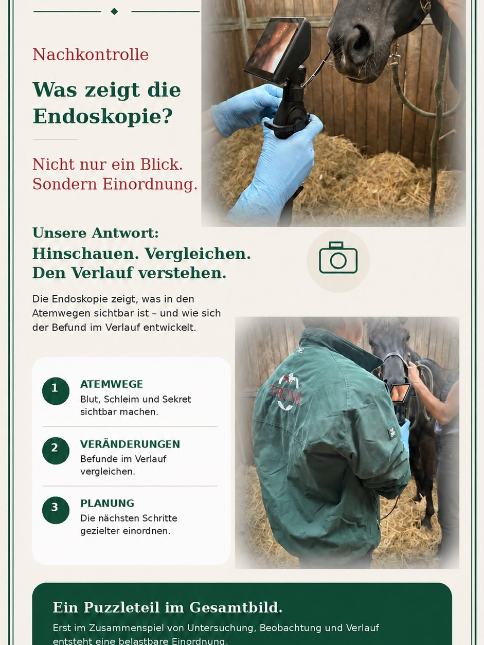 Ein Befund ist wichtig. Aber er ist immer nur ein Moment.
